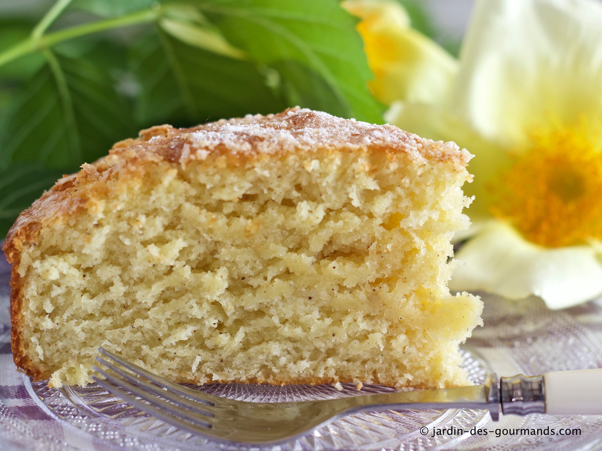 Gateau Au Yaourt La Vanille Jardin Des Gourmands