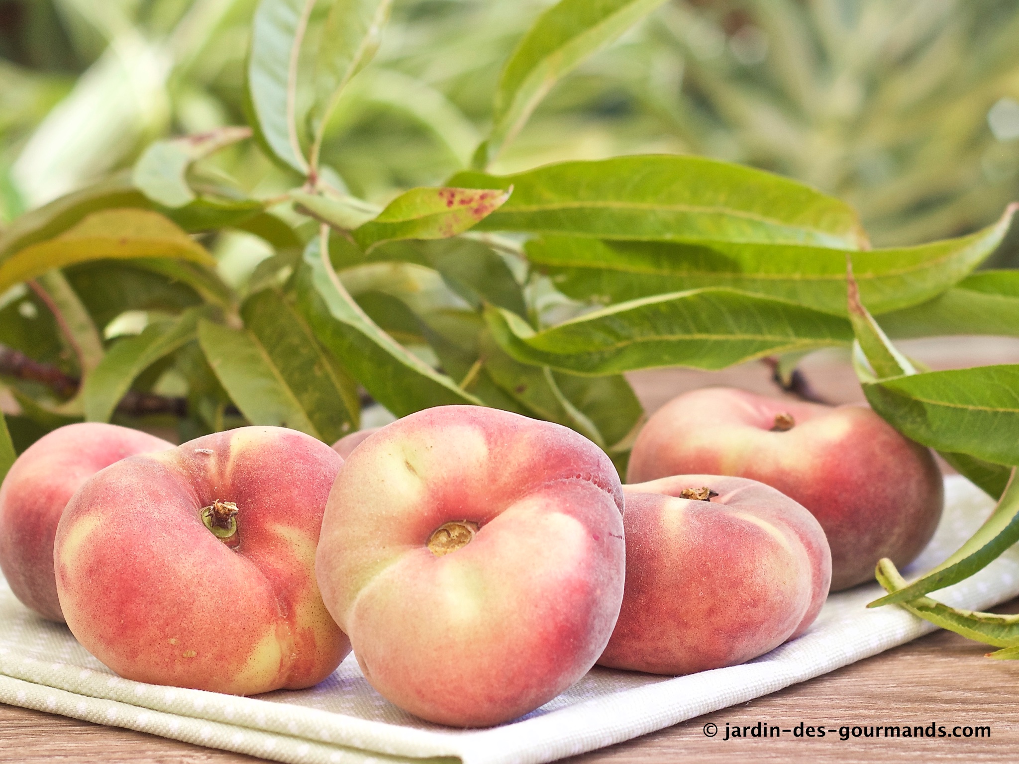 Panna Cotta Verveine Aux P Ches Jardin Des Gourmands